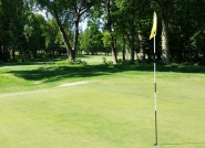 A first step towards naturalization the golf course is the start of golf sustainability.